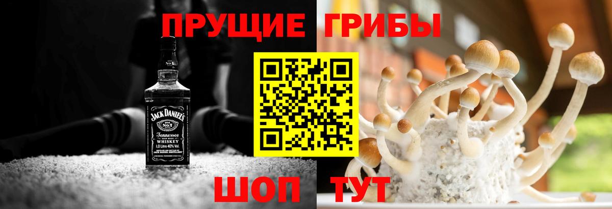 Амурск  Галлюциногенные грибы Magic Shrooms  Вход с VPN  Псилоцибиновые грибы Cubensis 